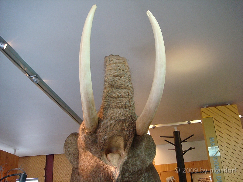 038 Cranbrook Institute of Science [2008 Jan 02].JPG